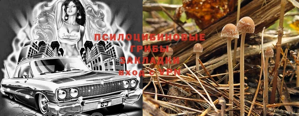 шишки Алексеевка