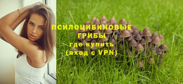 гашик Алзамай