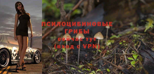 соль курить ск Алексин