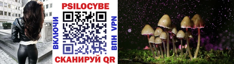 Галлюциногенные грибы Psilocybine cubensis  Комсомольск 